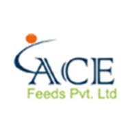 ace logo